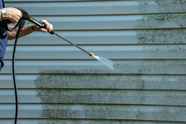 Reliable Worthington, KY Pressure Washing Services Solutions